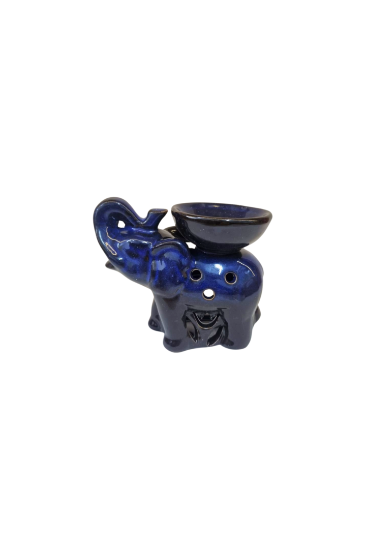 Rechot elefante 2