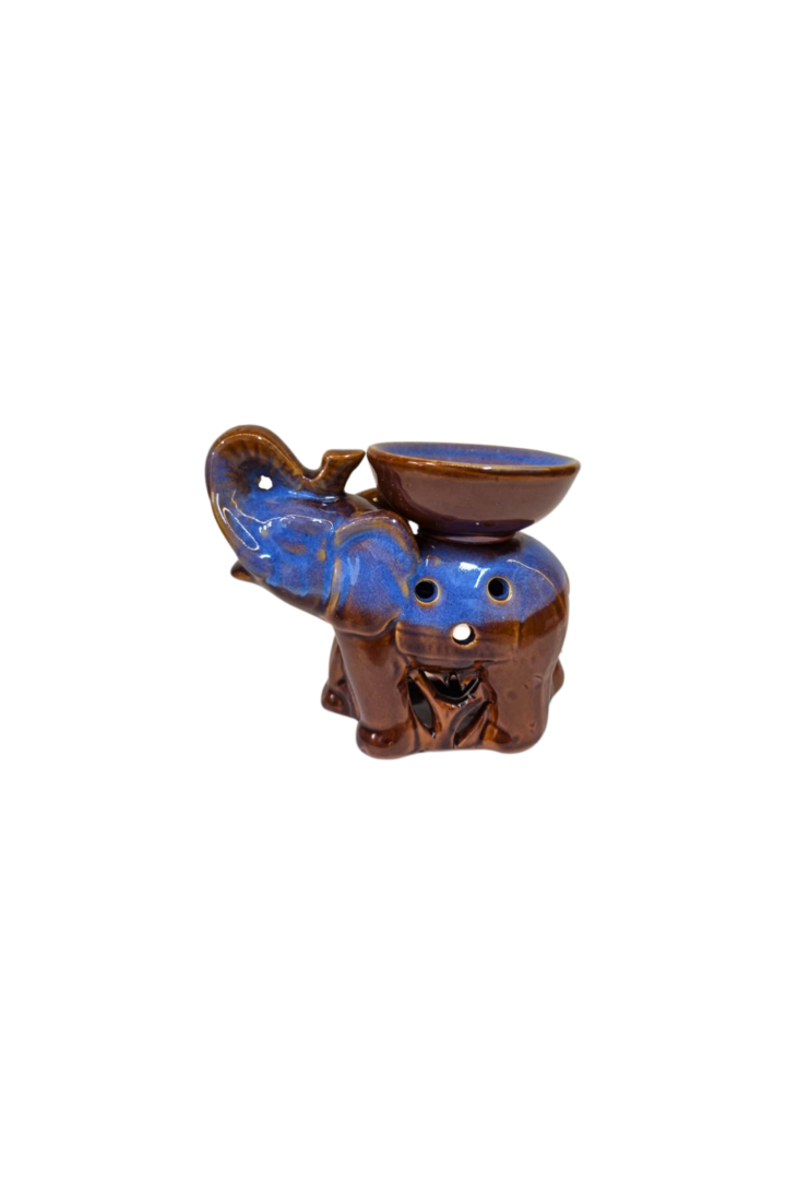Rechot elefante 3
