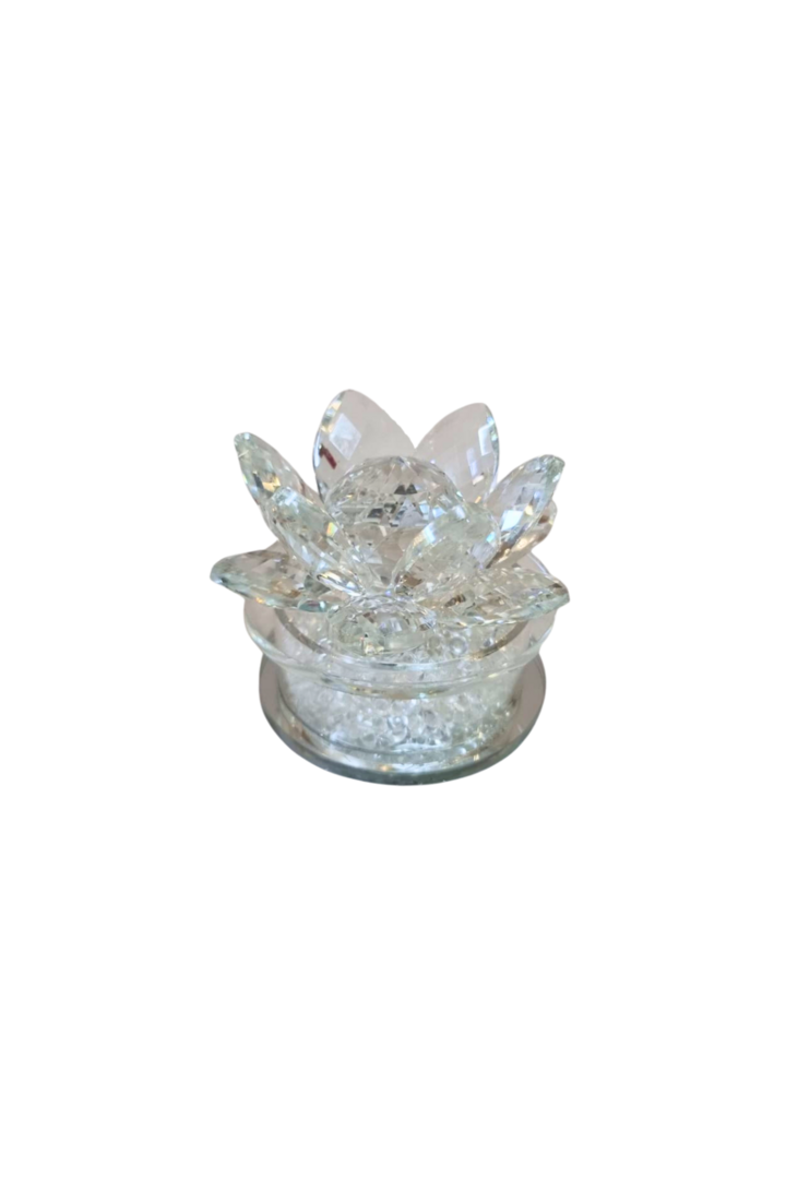 Flor de lotus com luz 1