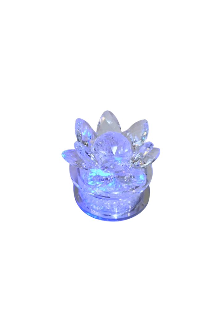 Flor de lotus com luz 3
