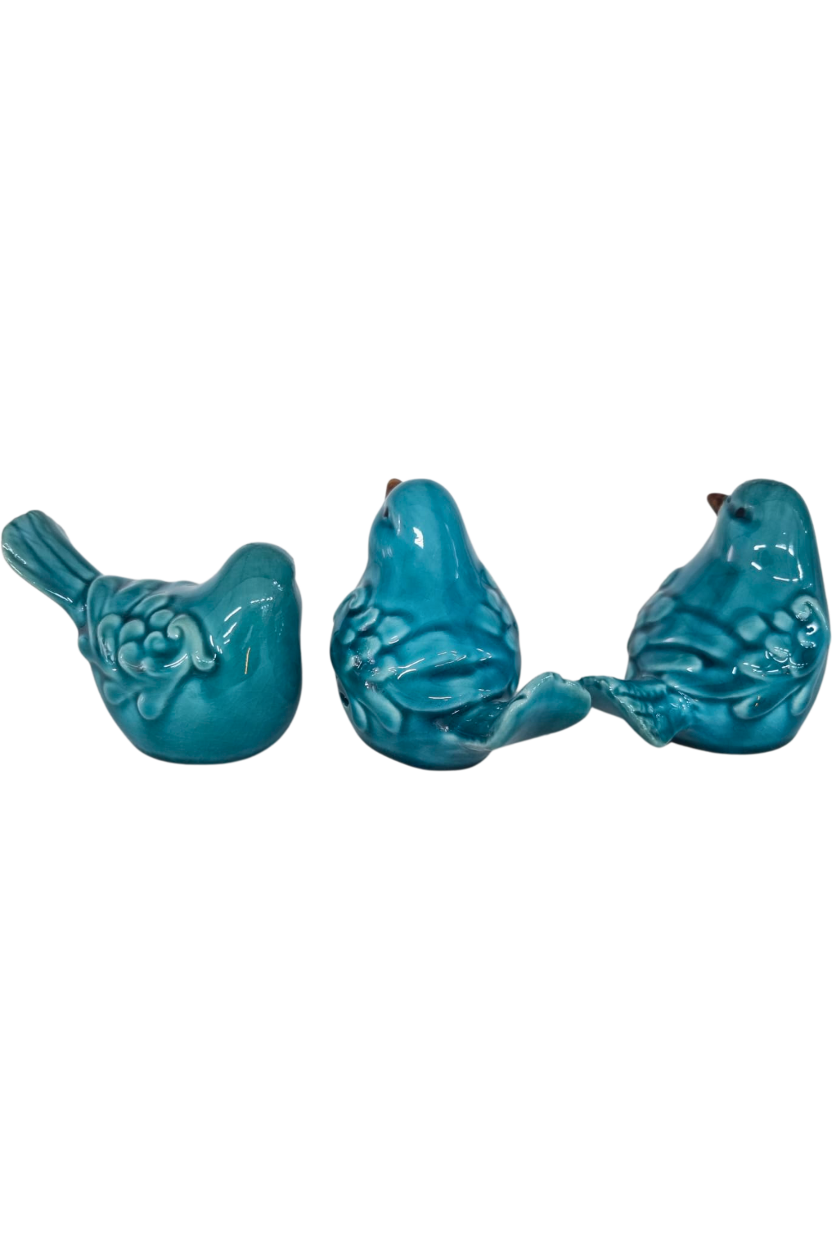 Passarinho azul 2