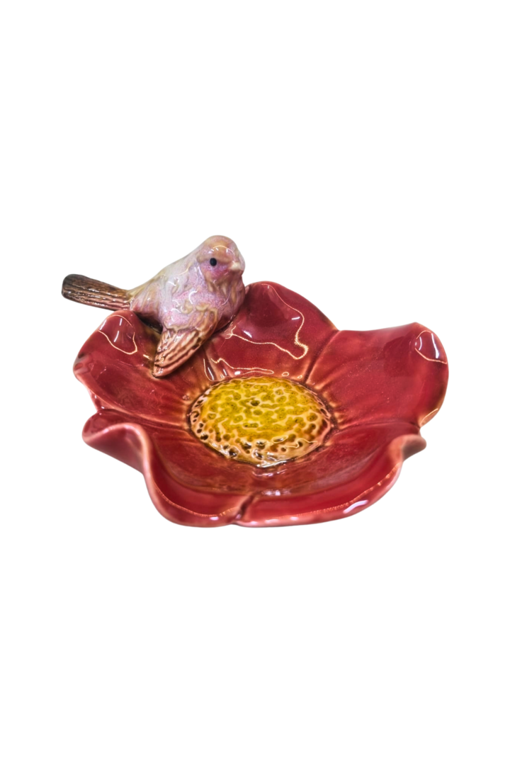 Petiskeira passarinho 2