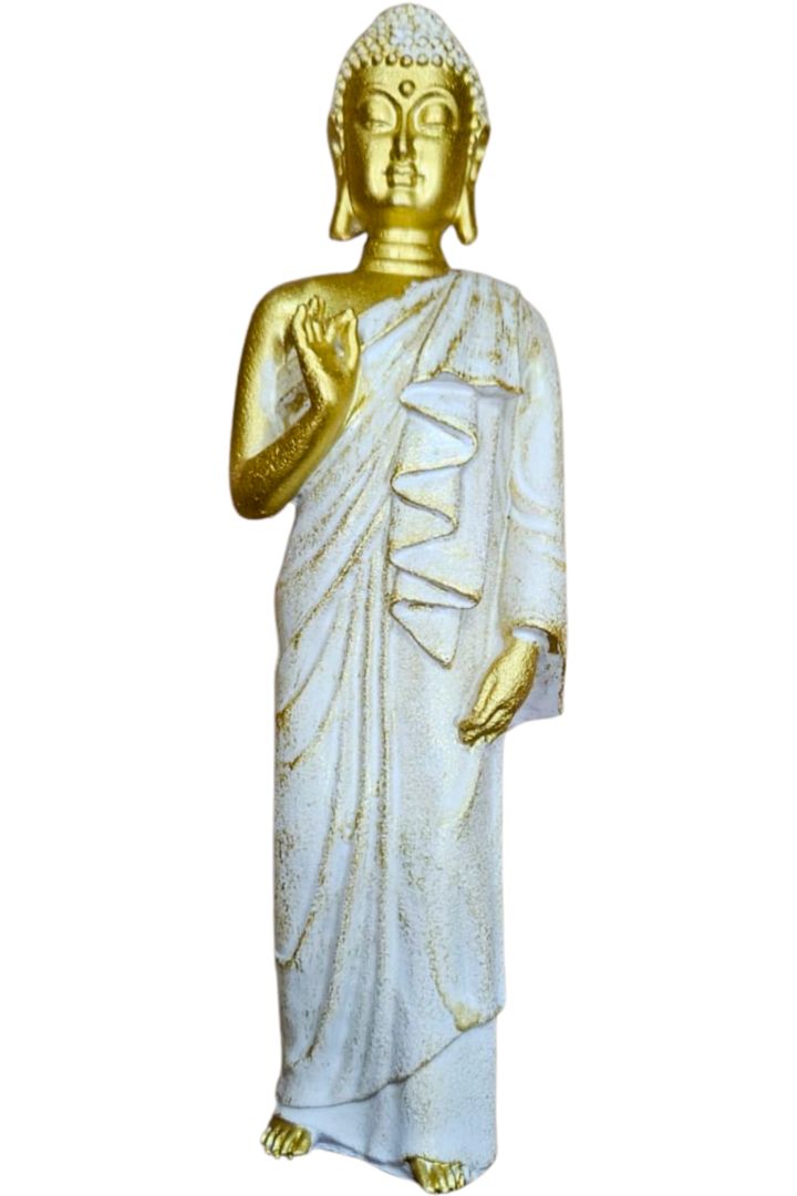 Buda 3 modelos 1