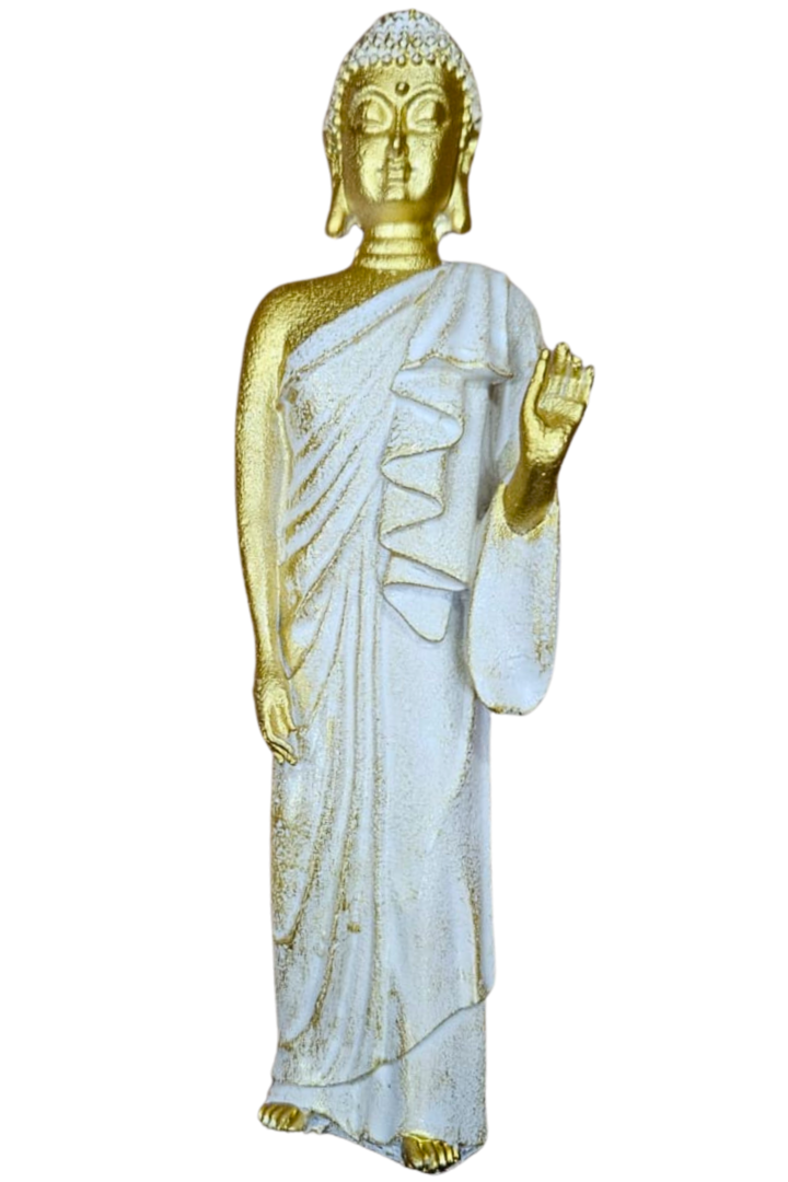Buda 3 modelos 3