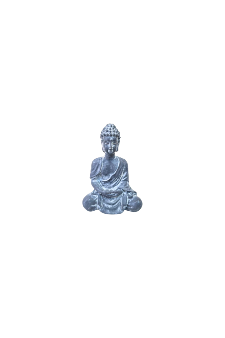 Mini buda 1