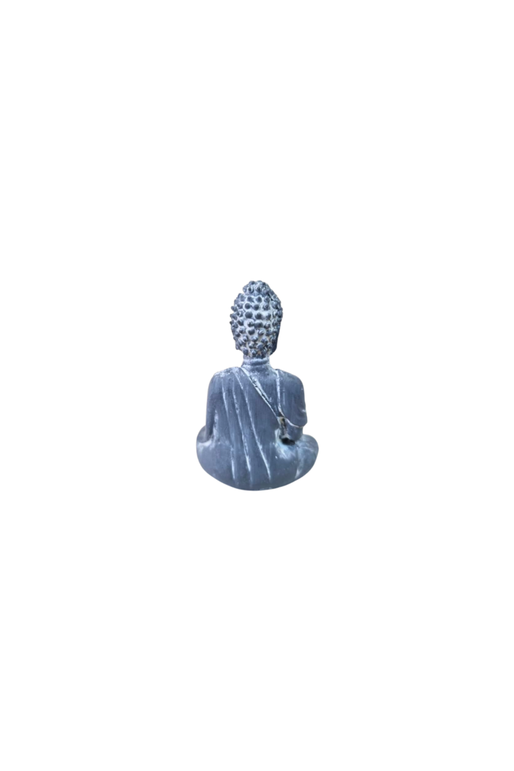 Mini buda 2