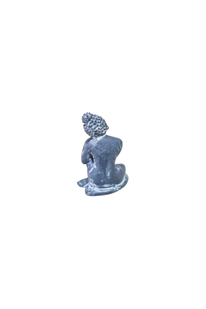 Mini buda 4