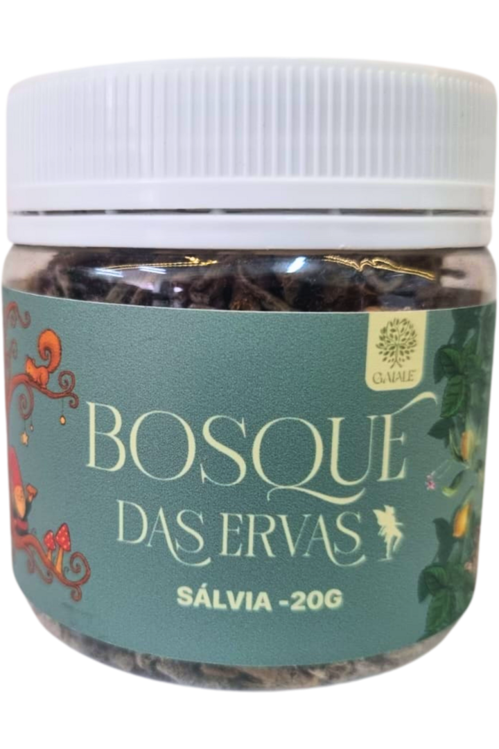 Salvia 1